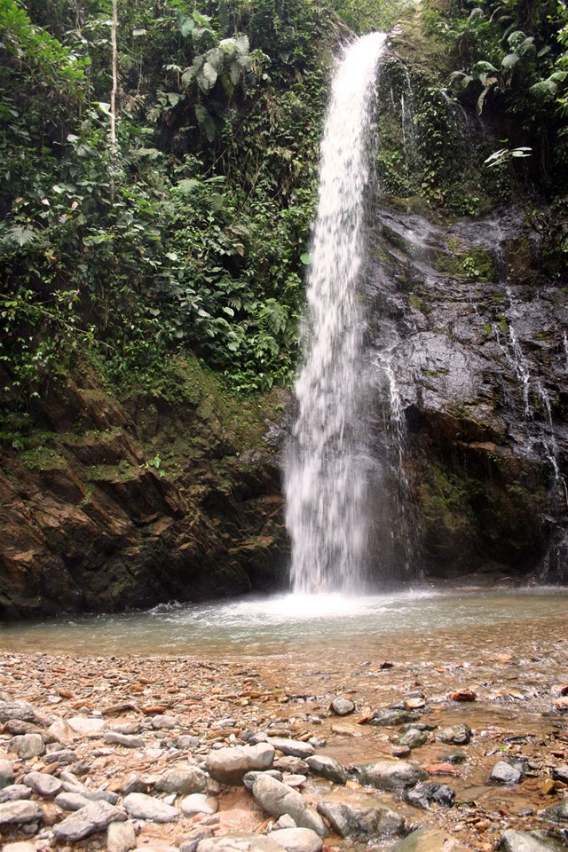 Mindo Cloud Forest